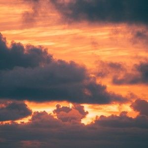 Meet your Posher, Ben